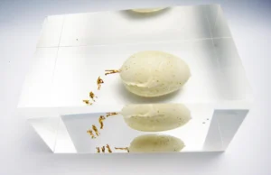 Some wanna go back where we came from