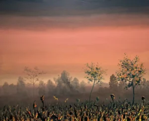 Avondrood Martijn Lucas van Erp