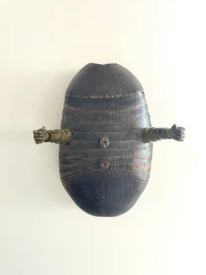 La force primordiale