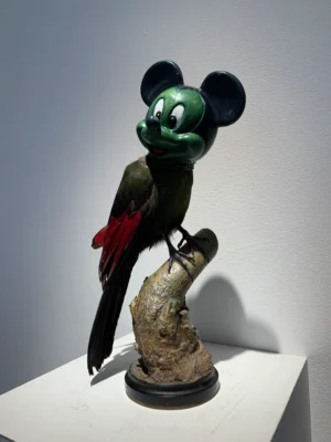 L'oiseau souriant