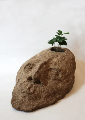 Green Mind