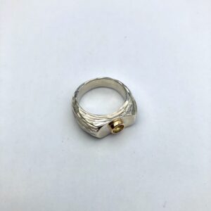 Ring met steen 5
